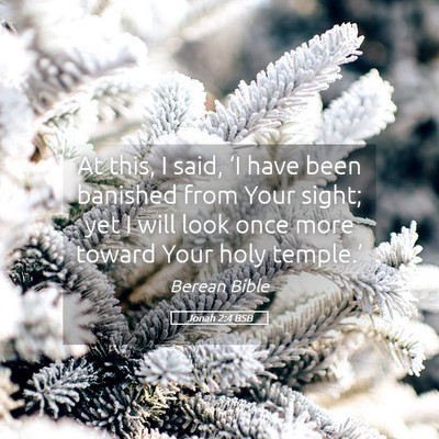 Picture 05 - Jonah 2:4 BSB - At this, I said, ‘I have been banished from - Bible Verse Picture