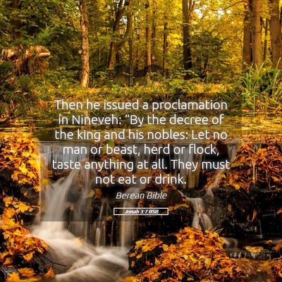 Picture 05 - Jonah 3:7 BSB - Then he issued a proclamation in Nineveh: “By - Bible Verse Picture
