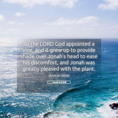 Picture 05 - Jonah 4:6 BSB - So the LORD God appointed a vine, and it grew up - Bible Verse Picture