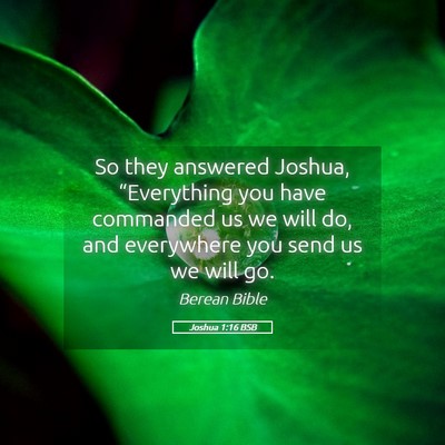 Picture 05 - Joshua 1:16 BSB - So they answered Joshua, “Everything you have - Bible Verse Picture