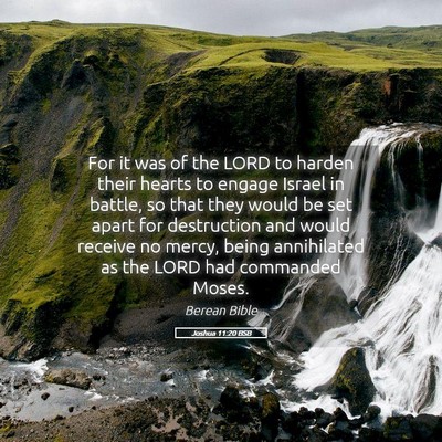 Picture 05 - Joshua 11:20 BSB - For it was of the LORD to harden their hearts to - Bible Verse Picture