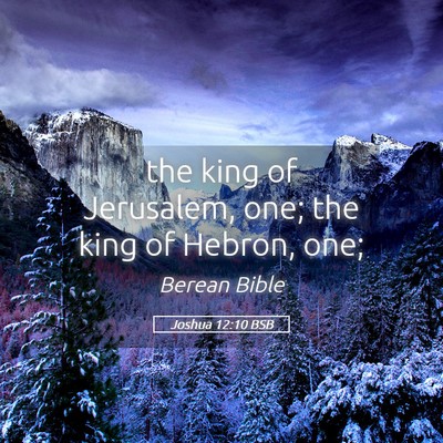 Picture 05 - Joshua 12:10 BSB - the king of Jerusalem, one; the king of Hebron, - Bible Verse Picture