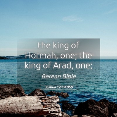 Picture 05 - Joshua 12:14 BSB - the king of Hormah, one; the king of Arad, - Bible Verse Picture