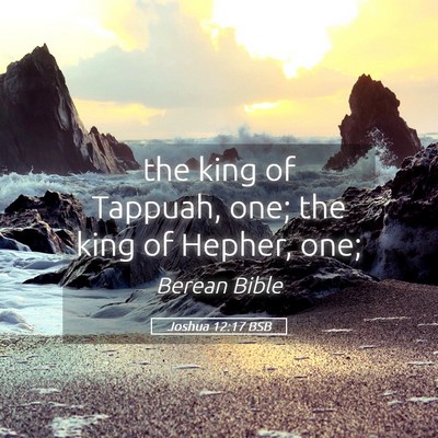 Picture 05 - Joshua 12:17 BSB - the king of Tappuah, one; the king of Hepher, - Bible Verse Picture