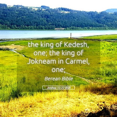 Picture 05 - Joshua 12:22 BSB - the king of Kedesh, one; the king of Jokneam in - Bible Verse Picture