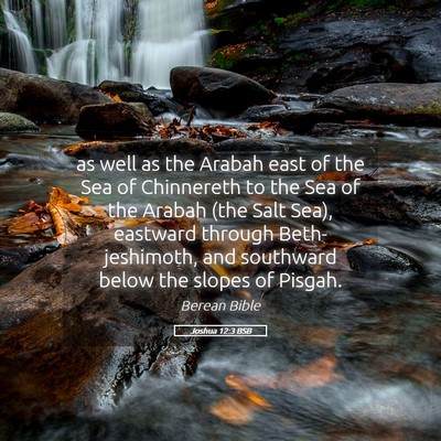 Picture 05 - Joshua 12:3 BSB - as well as the Arabah east of the Sea of - Bible Verse Picture