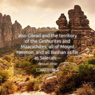 Picture 05 - Joshua 13:11 BSB - also Gilead and the territory of the Geshurites - Bible Verse Picture