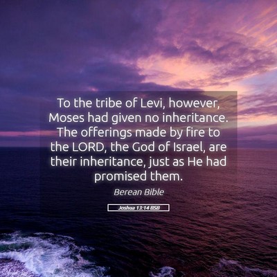 Picture 05 - Joshua 13:14 BSB - To the tribe of Levi, however, Moses had given no - Bible Verse Picture