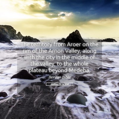 Picture 05 - Joshua 13:16 BSB - The territory from Aroer on the rim of the Arnon - Bible Verse Picture