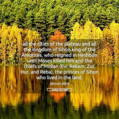 Picture 05 - Joshua 13:21 BSB - all the cities of the plateau and all the kingdom - Bible Verse Picture