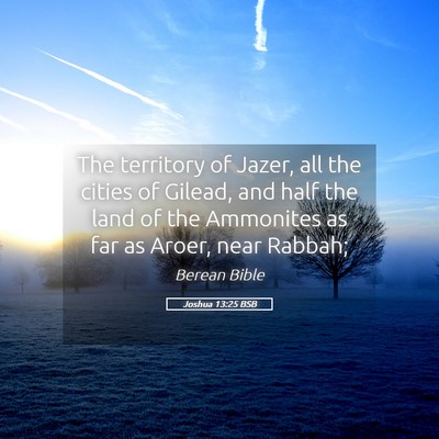 Picture 05 - Joshua 13:25 BSB - The territory of Jazer, all the cities of Gilead, - Bible Verse Picture