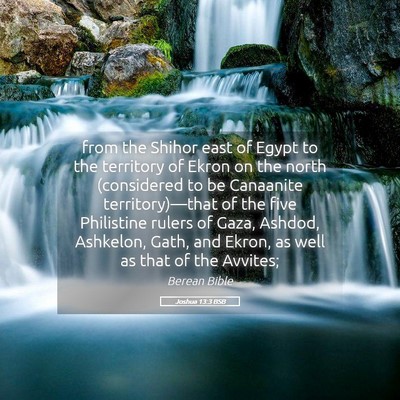 Picture 05 - Joshua 13:3 BSB - from the Shihor east of Egypt to the territory of - Bible Verse Picture