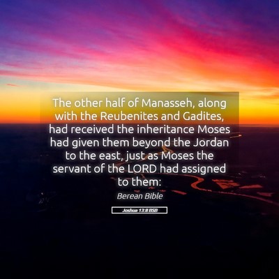 Picture 05 - Joshua 13:8 BSB - The other half of Manasseh, along with the - Bible Verse Picture
