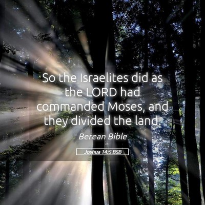 Picture 05 - Joshua 14:5 BSB - So the Israelites did as the LORD had commanded - Bible Verse Picture
