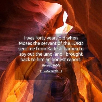 Picture 05 - Joshua 14:7 BSB - I was forty years old when Moses the servant of - Bible Verse Picture