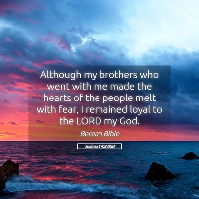 Picture 05 - Joshua 14:8 BSB - Although my brothers who went with me made the - Bible Verse Picture