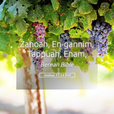 Picture 05 - Joshua 15:34 BSB - Zanoah, En-gannim, Tappuah, - Bible Verse Picture