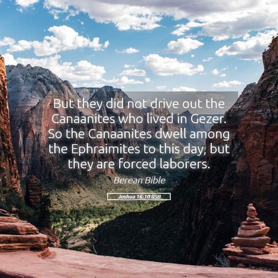 Picture 05 - Joshua 16:10 BSB - But they did not drive out the Canaanites who - Bible Verse Picture