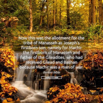 Picture 05 - Joshua 17:1 BSB - Now this was the allotment for the tribe of - Bible Verse Picture