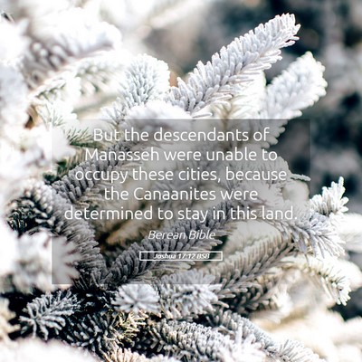 Picture 05 - Joshua 17:12 BSB - But the descendants of Manasseh were unable to - Bible Verse Picture