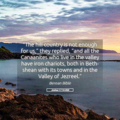 Picture 05 - Joshua 17:16 BSB - “The hill country is not enough for us,” they - Bible Verse Picture