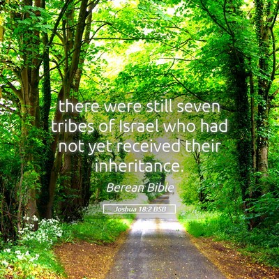 Picture 05 - Joshua 18:2 BSB - there were still seven tribes of Israel who had - Bible Verse Picture