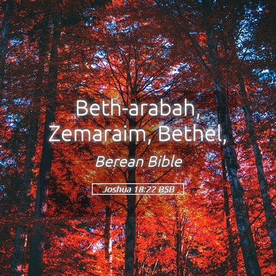 Picture 05 - Joshua 18:22 BSB - Beth-arabah, Zemaraim, - Bible Verse Picture