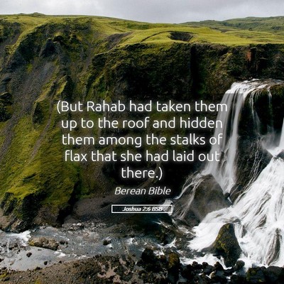 Picture 05 - Joshua 2:6 BSB - (But Rahab had taken them up to the roof and - Bible Verse Picture