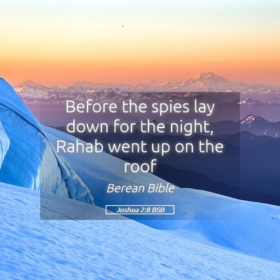 Picture 05 - Joshua 2:8 BSB - Before the spies lay down for the night, Rahab - Bible Verse Picture