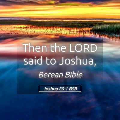 Picture 05 - Joshua 20:1 BSB - Then the LORD said to - Bible Verse Picture