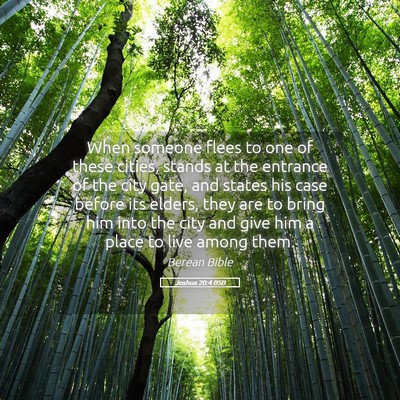 Picture 05 - Joshua 20:4 BSB - When someone flees to one of these cities, stands - Bible Verse Picture