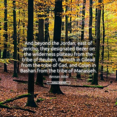 Picture 05 - Joshua 20:8 BSB - And beyond the Jordan, east of Jericho, they - Bible Verse Picture