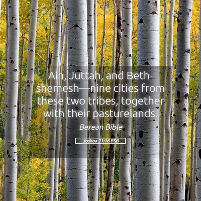 Picture 05 - Joshua 21:16 BSB - Ain, Juttah, and Beth-shemesh—nine cities from - Bible Verse Picture