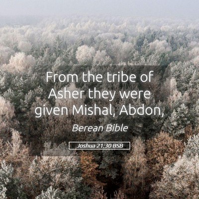 Picture 05 - Joshua 21:30 BSB - From the tribe of Asher they were given Mishal, - Bible Verse Picture