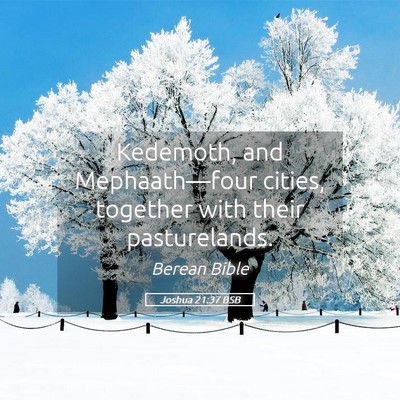 Picture 05 - Joshua 21:37 BSB - Kedemoth, and Mephaath—four cities, together - Bible Verse Picture