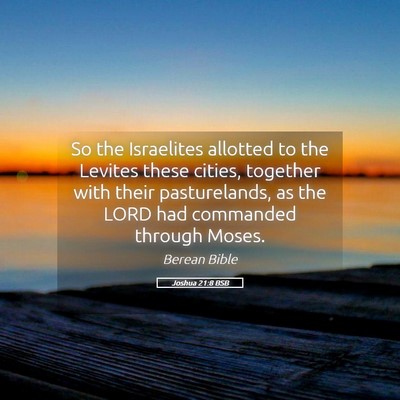 Picture 05 - Joshua 21:8 BSB - So the Israelites allotted to the Levites these - Bible Verse Picture