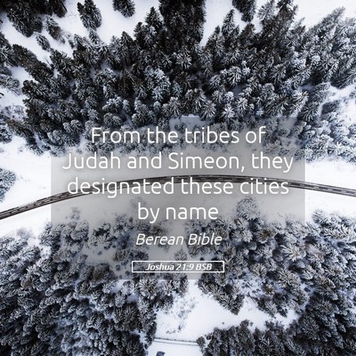 Picture 05 - Joshua 21:9 BSB - From the tribes of Judah and Simeon, they - Bible Verse Picture