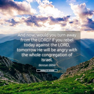 Picture 05 - Joshua 22:18 BSB - And now, would you turn away from the LORD? If - Bible Verse Picture
