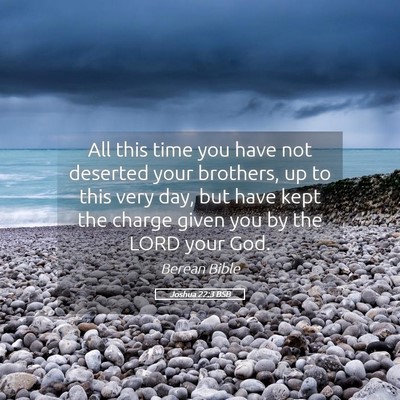 Picture 05 - Joshua 22:3 BSB - All this time you have not deserted your - Bible Verse Picture