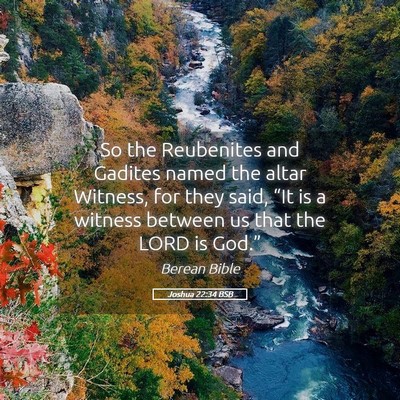 Picture 05 - Joshua 22:34 BSB - So the Reubenites and Gadites named the altar - Bible Verse Picture