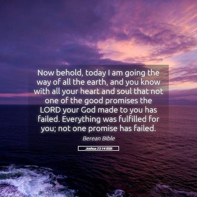 Picture 05 - Joshua 23:14 BSB - Now behold, today I am going the way of all the - Bible Verse Picture