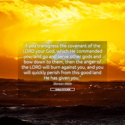 Picture 05 - Joshua 23:16 BSB - If you transgress the covenant of the LORD your - Bible Verse Picture
