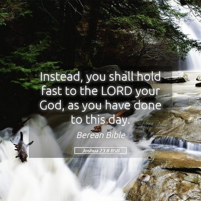 Picture 05 - Joshua 23:8 BSB - Instead, you shall hold fast to the LORD your - Bible Verse Picture