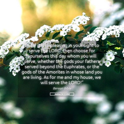 Picture 05 - Joshua 24:15 BSB - But if it is unpleasing in your sight to serve - Bible Verse Picture