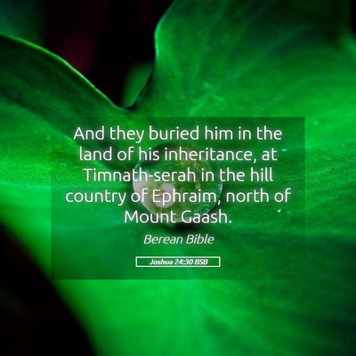 Picture 05 - Joshua 24:30 BSB - And they buried him in the land of his - Bible Verse Picture