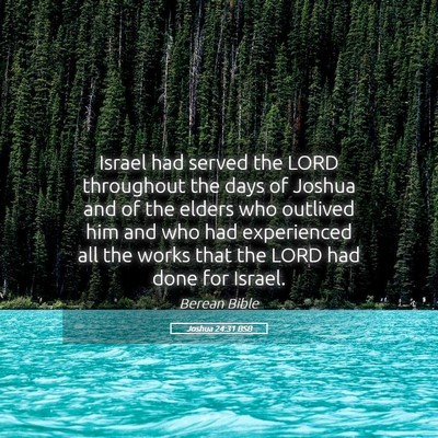 Picture 05 - Joshua 24:31 BSB - Israel had served the LORD throughout the days of - Bible Verse Picture