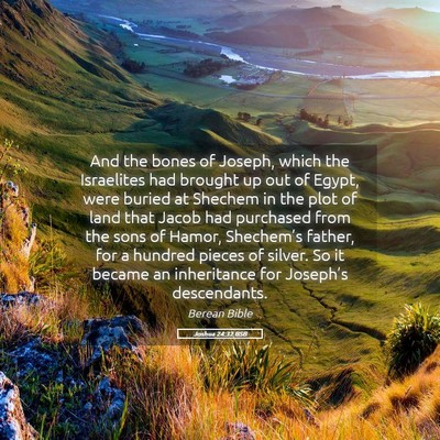 Picture 05 - Joshua 24:32 BSB - And the bones of Joseph, which the Israelites had - Bible Verse Picture