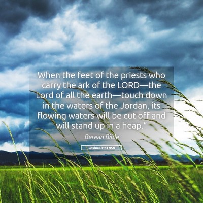 Picture 05 - Joshua 3:13 BSB - When the feet of the priests who carry the ark of - Bible Verse Picture