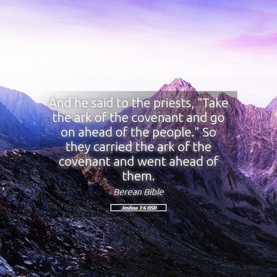 Picture 05 - Joshua 3:6 BSB - And he said to the priests, “Take the ark of - Bible Verse Picture