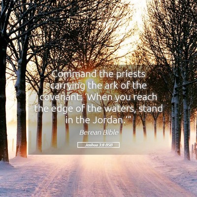 Picture 05 - Joshua 3:8 BSB - Command the priests carrying the ark of the - Bible Verse Picture